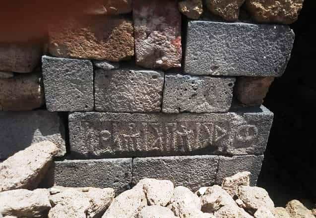 الشرعي بني شجرة 1